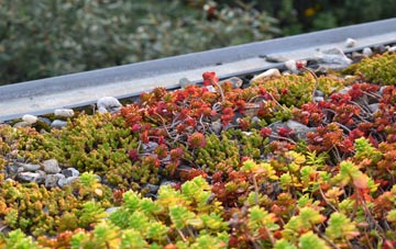 the cost of Swinford green roof installation
