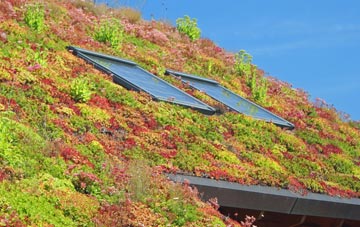 Swinford living roof systems
