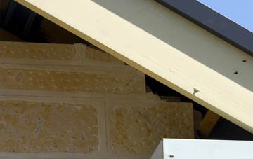 soffit repair Swinford