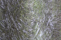 Swinford fibreglass roof work